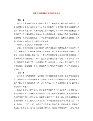 销售人员试用期工作总结开头范例 