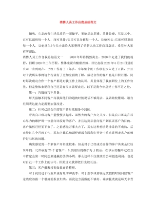 销售人员工作自我总结范文 