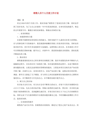 销售人员个人月度工作计划 