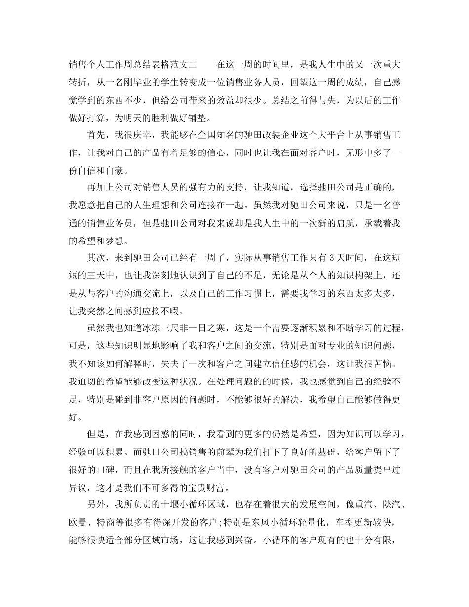 销售个人工作周总结表格 _第2页