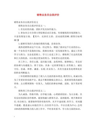 销售业务员自我评价 