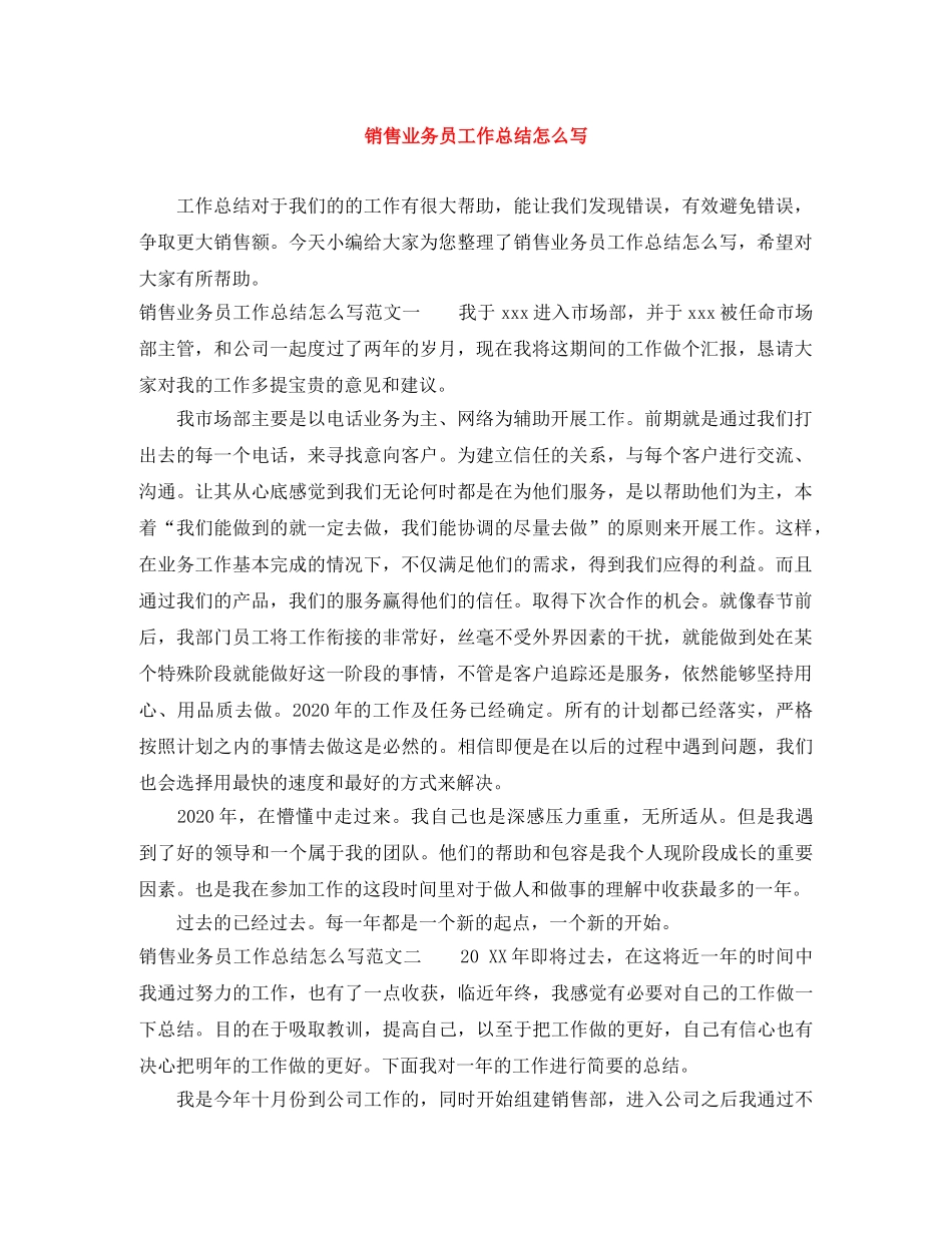 销售业务员工作总结怎么写 _第1页