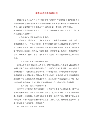 销售业务员工作总结和计划 