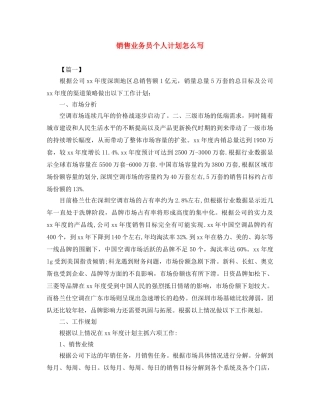 销售业务员个人计划怎么写 