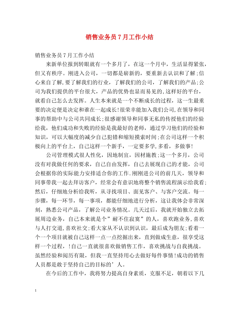 销售业务员7月工作小结 _第1页