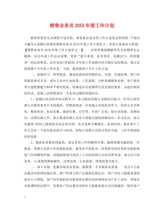 销售业务员20XX年度工作计划 