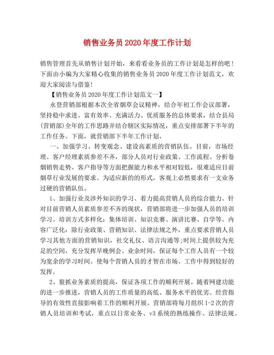 销售业务员2024年度工作计划 _第1页