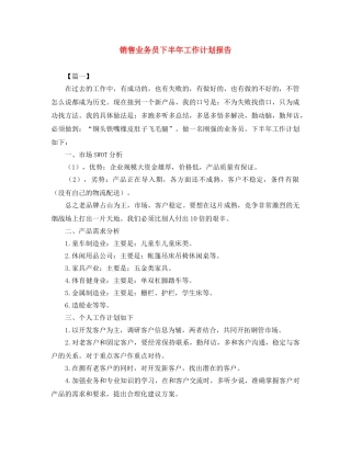 销售业务员下半年工作计划报告 