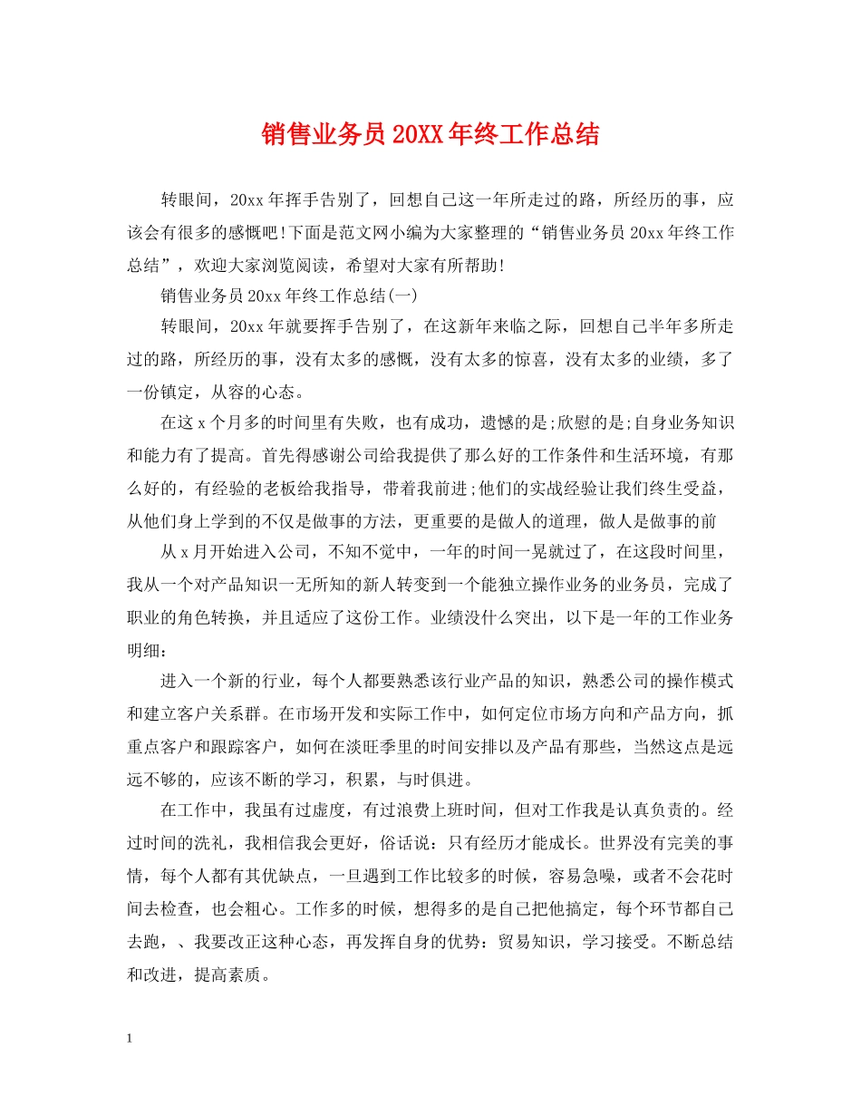 销售业务员20XX年终工作总结 _第1页