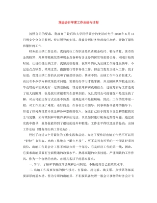 现金会计年度工作总结与计划 