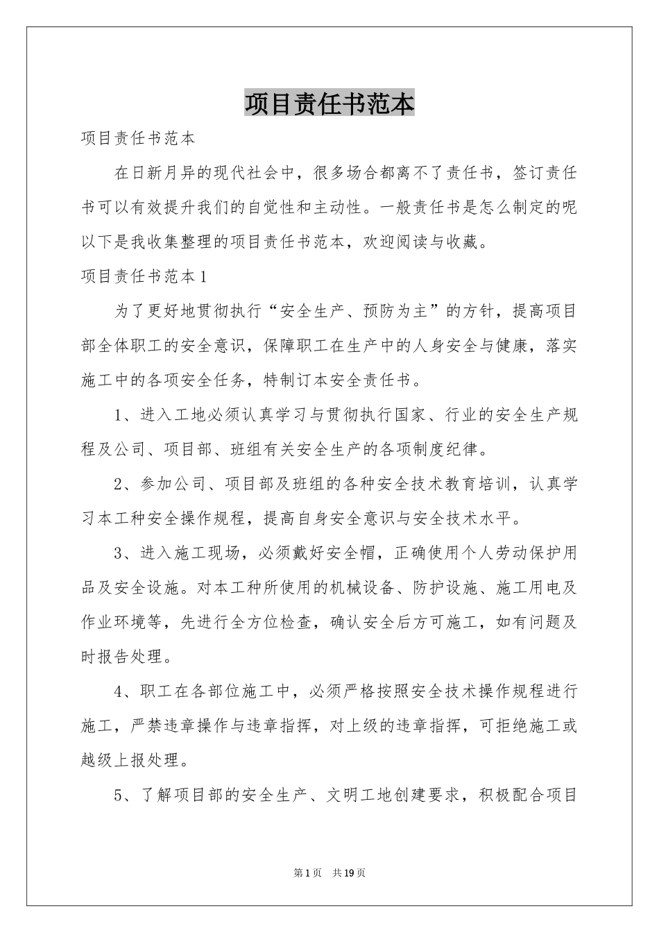 项目责任书范本_第1页
