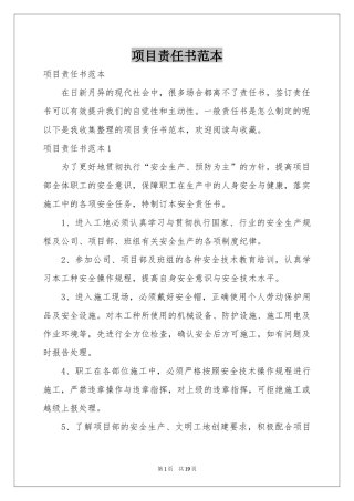 项目责任书范本