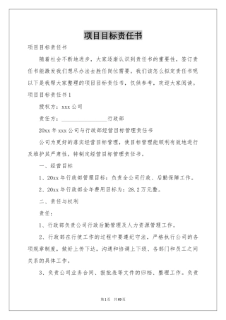 项目目标责任书