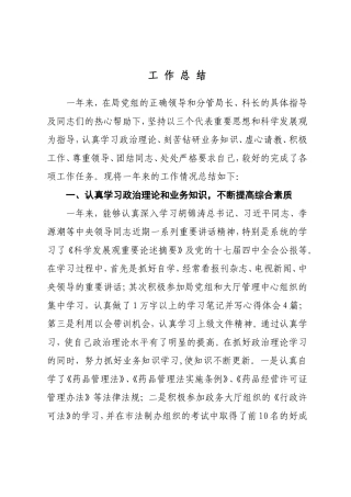 药监局个人工作总结定稿