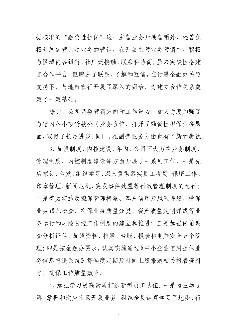 担保公司工作总结_第3页