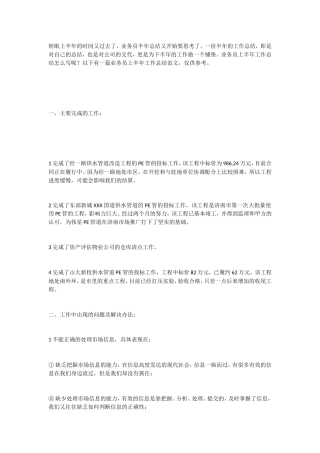 业务员半年总结1