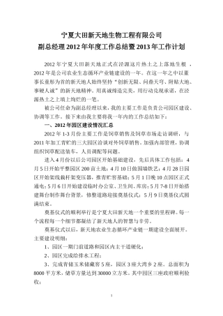 副总经理年度工作总结及计划