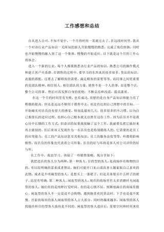 服装销售工作总结2