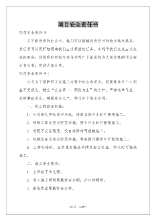 项目安全责任书