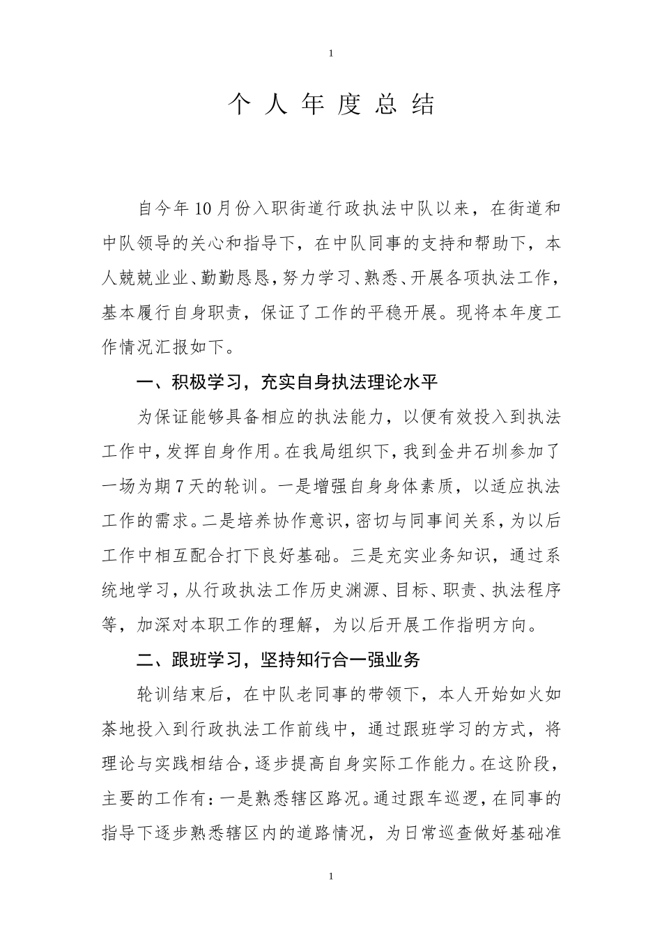 行政执法个人年度总结_第1页
