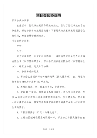 项目合伙协议书