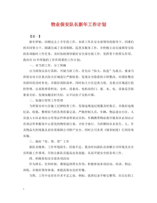 物业保安队长新年工作计划 