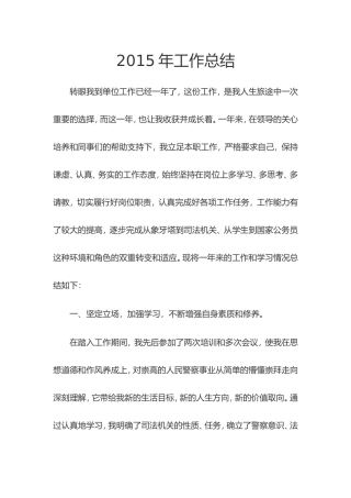 新警察工作总结