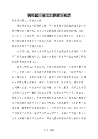 销售试用员工工作转正参考总结