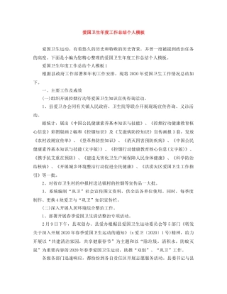 爱国卫生年度工作总结个人模板 