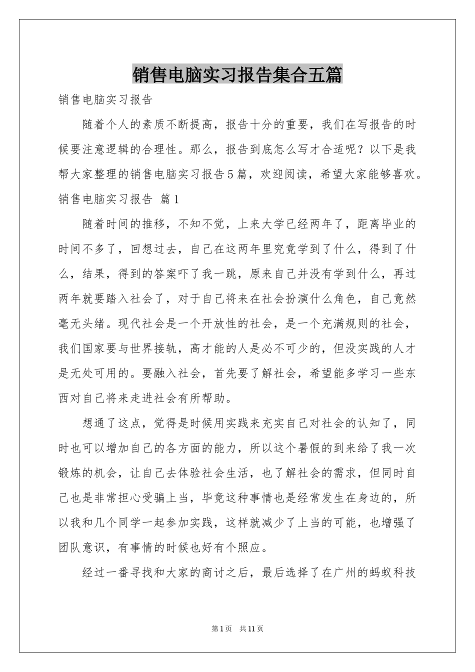 销售电脑实习报告集合五篇_第1页
