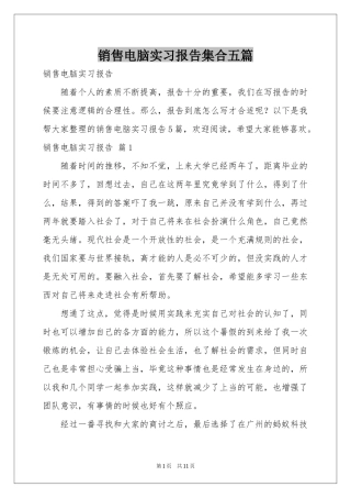 销售电脑实习报告集合五篇