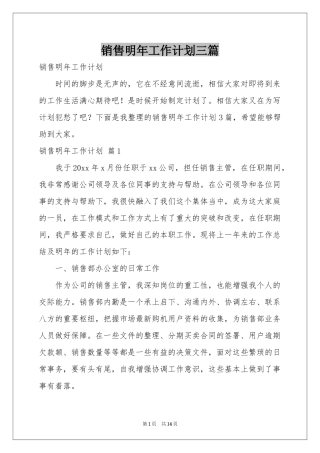 销售明年工作参考计划三篇