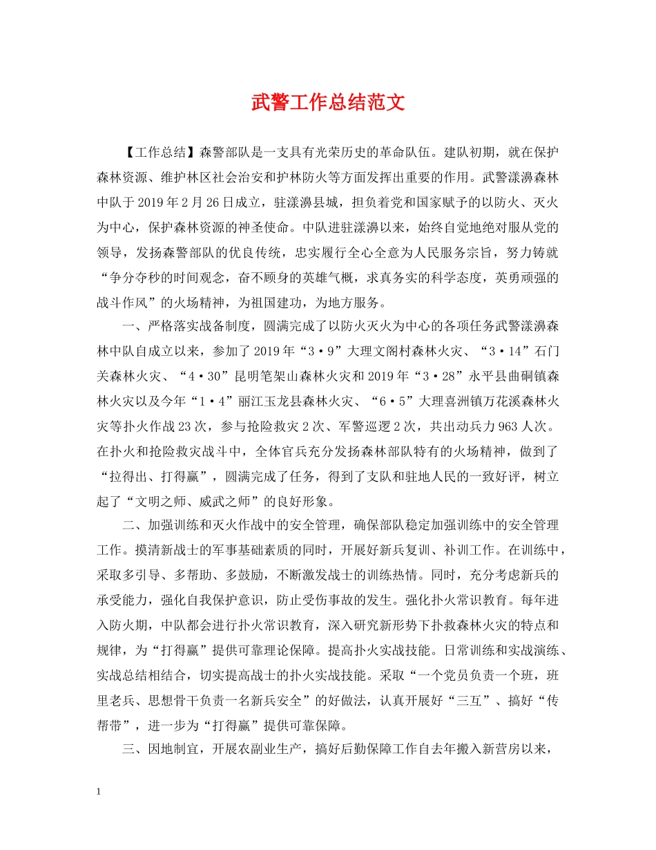 武警工作总结范文 _第1页