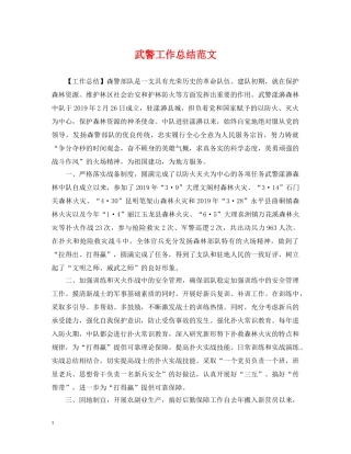 武警工作总结范文 