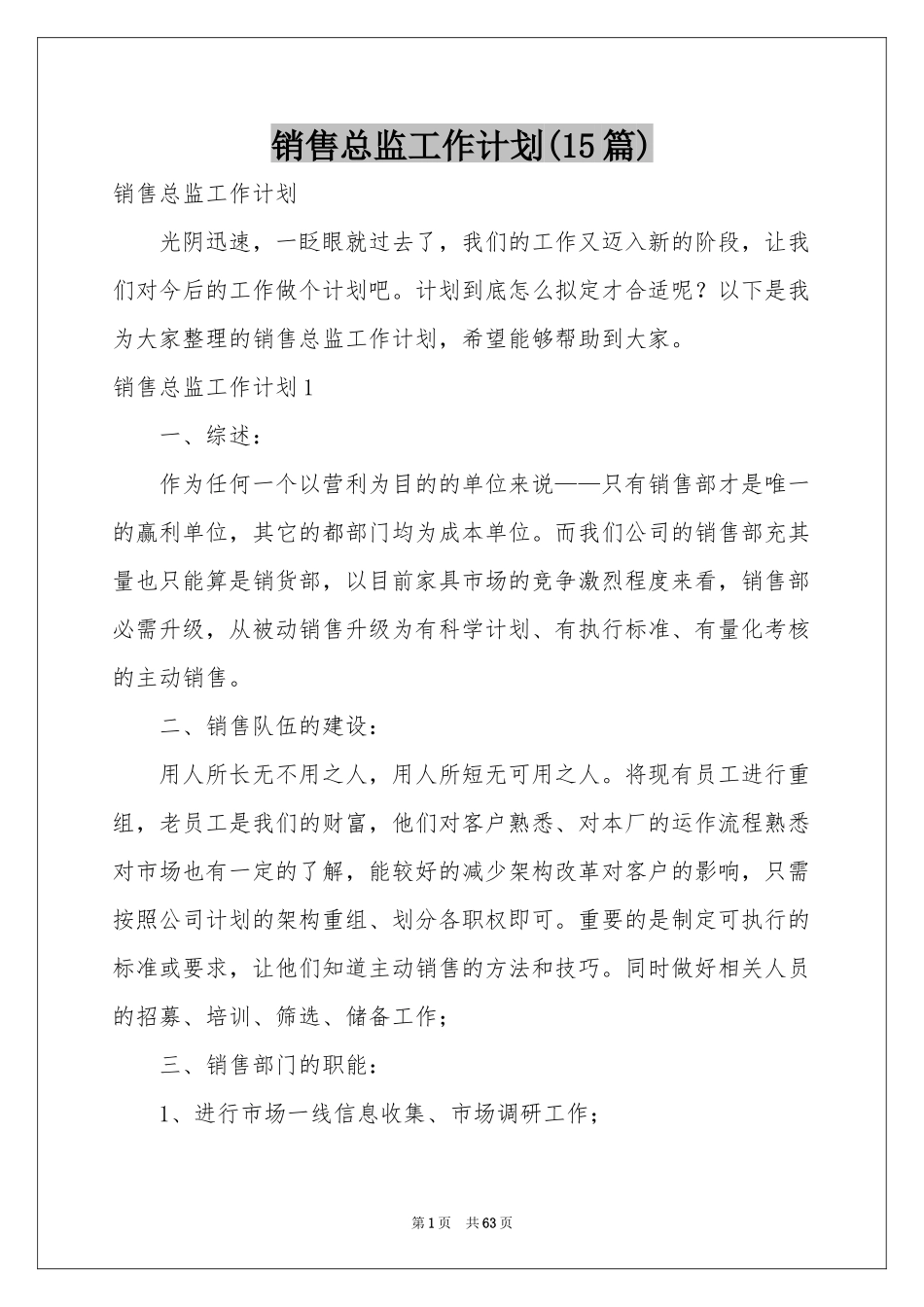 销售总监工作参考计划(15篇)_第1页
