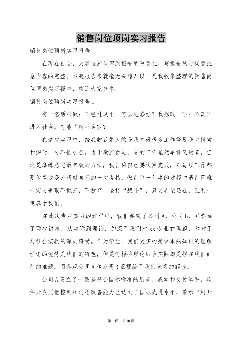 销售岗位顶岗实习报告_第1页