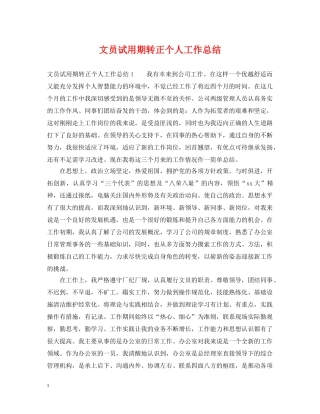 文员试用期转正个人工作总结 