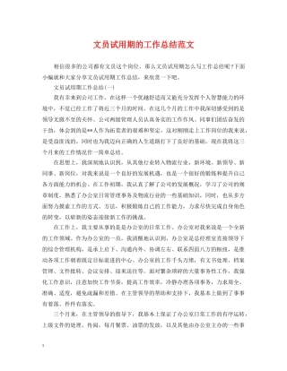 文员试用期的工作总结范文 