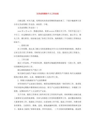 文员试用期的个人工作总结 
