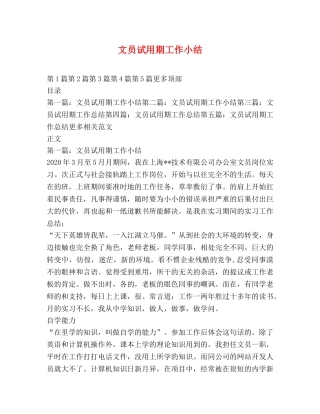文员试用期工作小结 