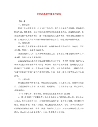 文化志愿者年度工作计划 