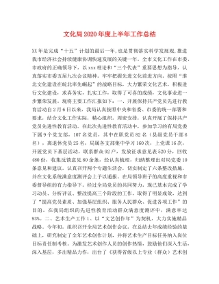 文化局2024年度上半年工作总结(1) 