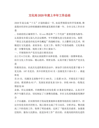 文化局2024年度上半年工作总结 