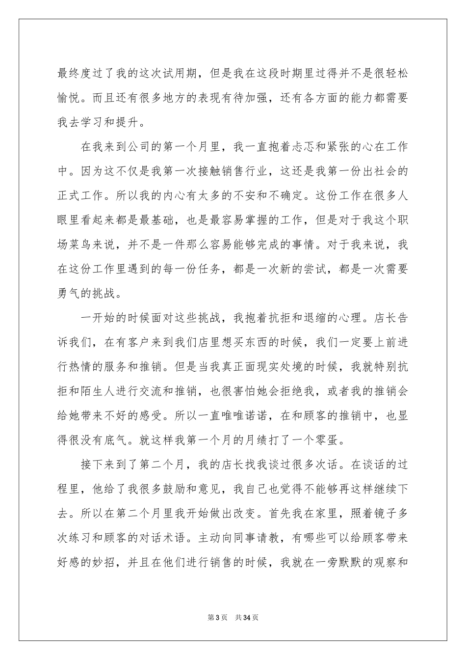 销售员试用期转正工作参考总结15篇_第3页