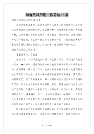 销售员试用期工作参考总结15篇