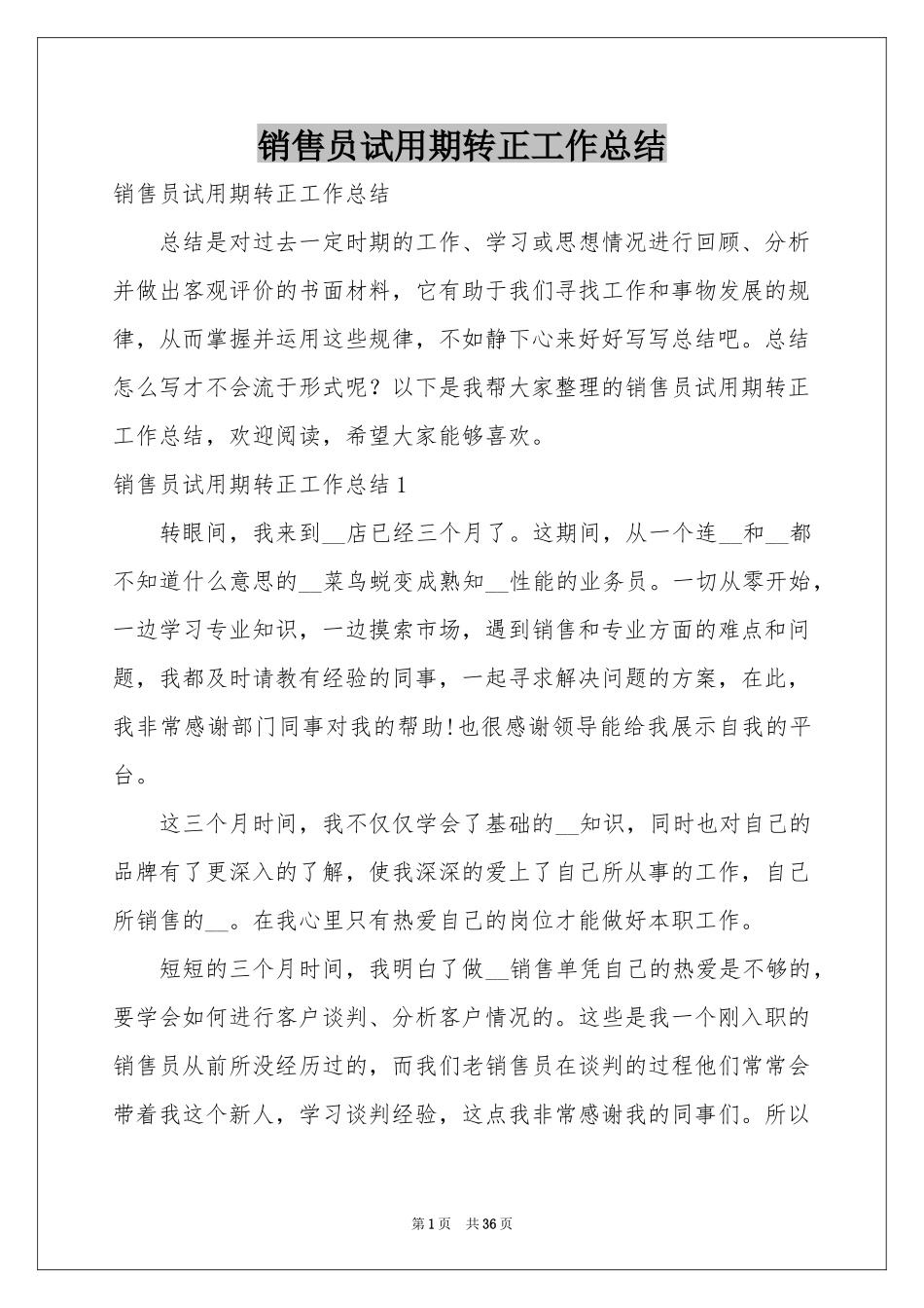 销售员试用期转正工作参考总结_第1页