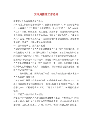 文体局团的工作总结 