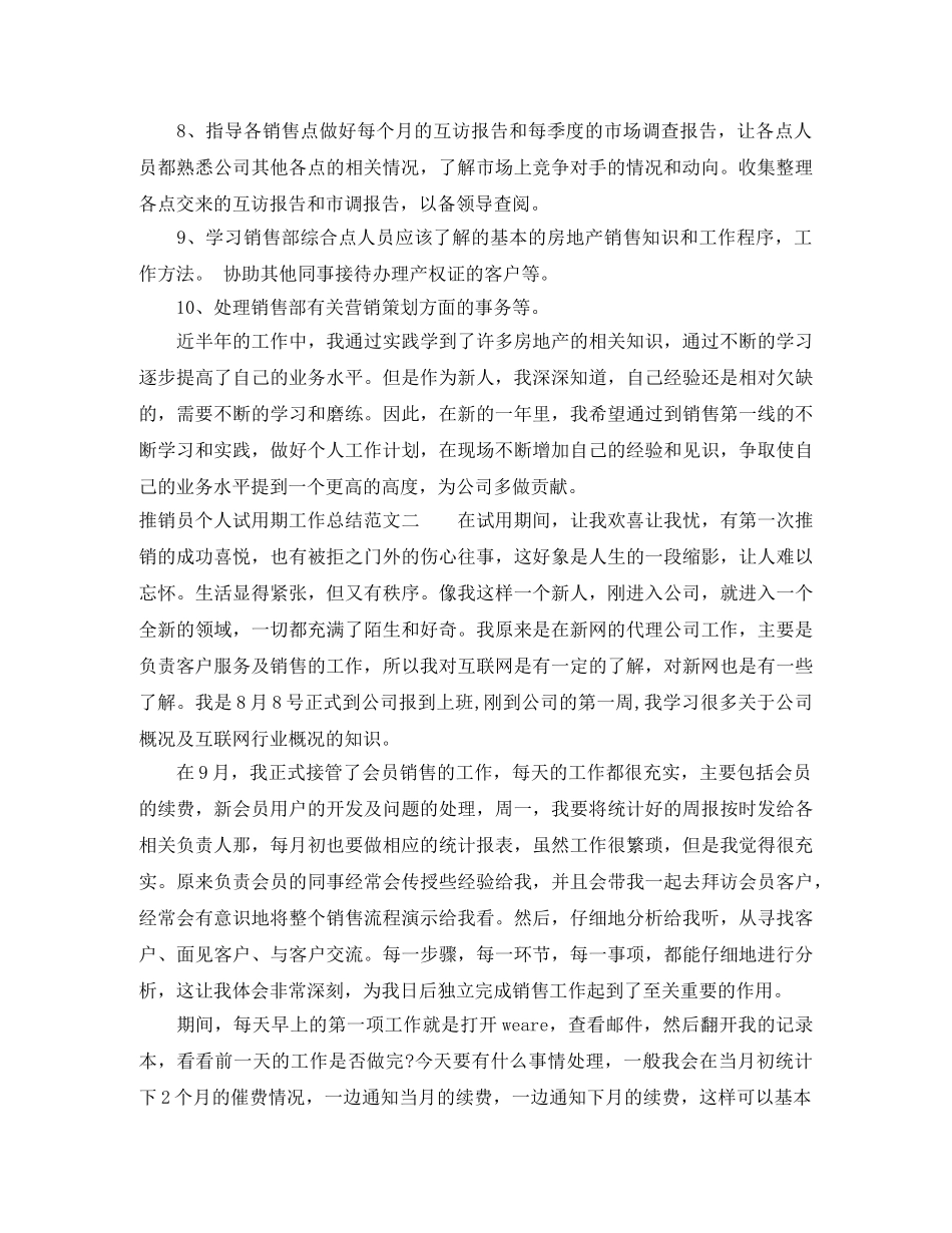 推销员个人试用期工作总结 _第2页