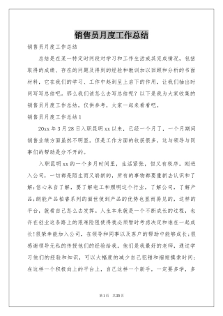 销售员月度工作参考总结