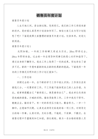 销售员年度参考计划